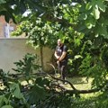 Seče drveće i čisti po dvorištu! Dejana Dragojević otvorio vrata nove kuće koju je kupio, pa sa devojkom prionuo na rad: Ona…