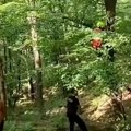 Paraglajder pao na drvo: Drama kod Čačka: Ostao zaglavljen u krošnji na visini od 15 metara: Spasioci jedva došli do njega…