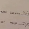 Mališan postao hit na internetu Njegov odgovor iz domaćeg zadatka nasmejao celu Srbiju! (foto)