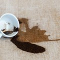 Kako ukloniti mrlje od kafe sa tepiha, odeće i gotovo svega ostalog