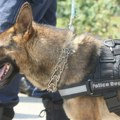 Haos u zatvoru: Službeni pas Vojne policije ugrizao pravosudnog policajca