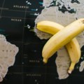 Svi koristimo termin „banana država“, a da li znate šta zapravo znači i na koju zemlju se prvo odnosio?