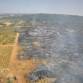 (FOTO) Čaušić: Požar kod Kladova zahvatio više od 100 hektara trave i niskog rastinja, odbranjeno desetak kuća