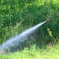 Sutra velika akcija "Gradske čistoće" s biocidima: Biće raspoređeni širom grada, a na meti nisu komarci