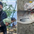 "O bože! Ovo prvi put vidim": Riba mutant ulovljena na Dunavu kod Negotina, svi se pitaju šta je ovo (Foto)