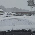 На Златибору пао први озбиљнији снег: Новембарски спектакл, снежни покривач је дебео више од 20 цм
