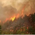 Vatrogasci sprečili katastrofu, odbranjeno 10 kuća, stoka i poljoprivredna mehanizacija