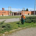 Radno vreme službi JKP „Čistoća i zelenilo“ Zrenjanin za vreme praznika (Nova Godina i Božić) Radno vreme u toku…