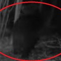 Čovek se vraćao sa ženom iz kapele Svete Petke i tada ga je napala strašna zver! Borio se za život, ujela ga je dva puta za…