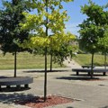 Danas nekoliko stepeni niža temperatura ali pretežno sunčano