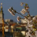 Sutra tri godišnja doba u jednom danu: Ujutru oblačno i hladno, pa onda preokret