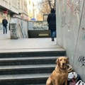 (Foto) Hitna je odvezla beskućnika, njegov pas ostao je da ga čeka... Novosađanka je objavila fotografiju, a onda je otkrivena…