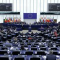 Zbog posete Rusiji, isključuju ga iz partije Haos u Evropskom parlamentu