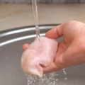 Šta bi bilo da smo pojeli piletinu zaraženu salmonelom? Posle 8 sati neizbežni su mučni simptomi trovanja