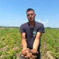 Mi ga prodamo za 30 dinara, a marketi na našoj muci zarađuju duplo! Dejan iz Zablaća uzgaja krompir na 15 hektara: Rod i…