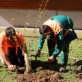 Donacija sadnica u okviru projekta Be Ready – Za zeleniji i otporniji Niš