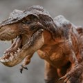 Nove analize pokazale da je ti-reks bio dugovečniji nego što su naučnici procenjivali