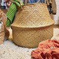 Kako nered u domu utiče na kućne ljubimce - veterinari otkrivaju znakove stresa