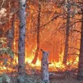 Lovačko udruženje „Golub“ pozvalo lovce da pomognu u borbi sa požarima oko Bujanovca