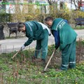 На Булевару Михајла Пупина и у Дунавском парку посађено још 18 стабала