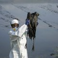 SZO zabrinuta zbog širenja ptičjeg gripa: Zabeležena "izrazito visoka" stopa smrtnosti kod ljudi