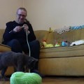 Ovakvog šegrta još niste videli: Mačak Milisav pomaže Borislavi da isplete vaskršnje korpice, a evo i kako