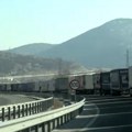 Jagode i kamioni - šta sprečava izvoz srpskog voća