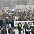 „Kako trenutno izgleda režim Aleksandra Vučića u reči i slici“: Na protestima podrške studentima u inostranstvu smo…