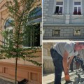 (Video) "kod zemljane Ćuprije bude najtopliji deo grada, drvored je prva liga" Evo kako meštani Almaškog kraja ćaskaju o…
