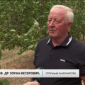 Delotvornost morskih algi na zasadu kajsija ispituje prof. dr Zoran Keserović