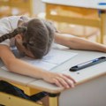 Država će utvrđivati maksimalne cene svih udžbenika, ali i njihovu "preporučenu masu": Šta predviđa novi predlog zakona