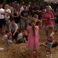 "Seljački parti” u Mokrinu