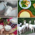 Jelena sa završenim fakultetom muze koze i pravi sir: Posao cveta, mušterije odbija od količine porudžbina