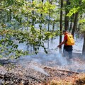 Zagrevanje klime utrostručilo broj dana pogodnih za teške šumske požare