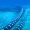 Legenda o ajkulama bila laž? Tajna prvog optičkog kabla na dnu mora