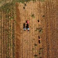 Nezadovoljni nemački poljoprivrednici sprečili iskrcavanje vicekancelara: 100 njih stiglo ispred trajekta
