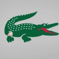 Krokodil sa zavojem na kolenu: Podrška Novaku i iz Francuske