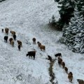 Večeras stiže 10 centimetara snega u ovim delovima Srbije će se zabeleti