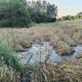 Ekološka katastrofa: Fekalije pored bunara iz kojeg se više sela snabdeva vodom (video)