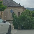 Olujni vetar u Bajinoj Bašti! Jak udar oborio stablo nasred ulice!