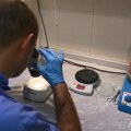 Hrvatska: Ne smiruje se situacija sa antraksom, od 121 uzorka više od polovine pozitivno