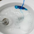 Katastrofa u kupatilu Srbi svakog dana prave istu grešku – bacaju ovo u WC šolju i prave začepljenje u cevima!