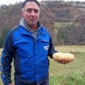 Zoran iz sela Kućani uzgajio krompir od čak 2 KILOGRAMA: Neprskan je, potpuno ČUDO PRIRODE