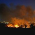 Veliki požar u ritu između Beočina i Rakovca, na terenu vatrogasci i policija