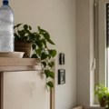 Nemci se kunu u ovaj trik protiv letnjih vrućina: Ovako rashlađuju stan bez klime, a ne košta ih ništa
