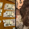 Najskuplja večera u životu – pas pojeo 4.000 dolara