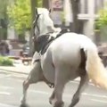 Odbegli konji ozbiljno povređeni od sudara sa automobilima dok su jurili centrom Londona
