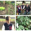 Bašta sa povrćem u dvorištu vrtića u Šapcu: Evo šta gaje najmlađi Šapčani