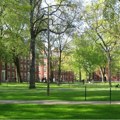 Harvard i osveta loših đaka