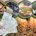 Stovarišta ogreva puna kupaca! Potražnja veća nego prethodnih godina: Evo kakve su cene